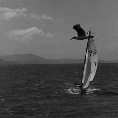 Sail boat