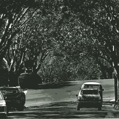 Marin Avenue