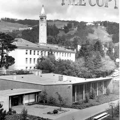 View towards Campanile looking northeast, UCB campus