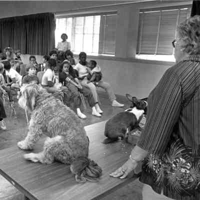 Francis Arnold at Humane Society