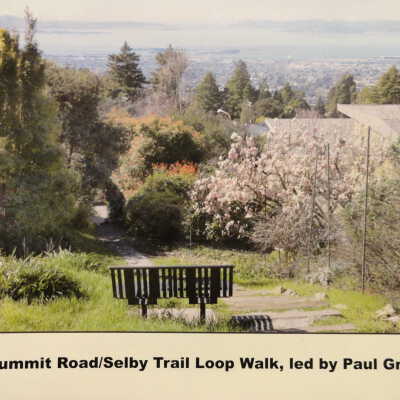 Summit Road/Selby Trail loop walk.
