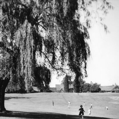 Tilden Park