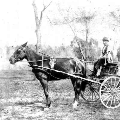 Milk delivery