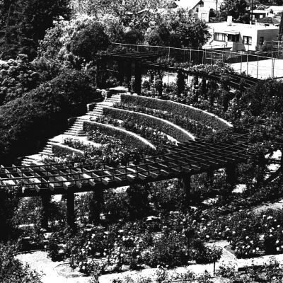 Berkeley Rose Garden