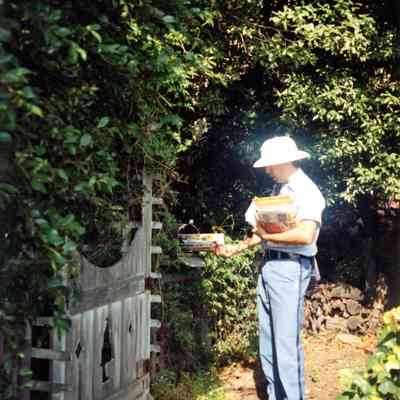 Postman Making Delivery