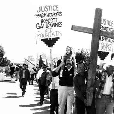 Grape Boycott
