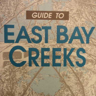 Guide to East Bay creeks