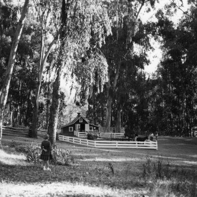 Tilden Park