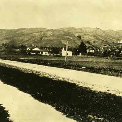 Early view toward Berkeley hills.