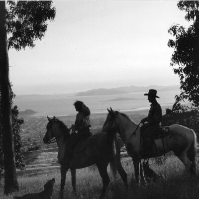 Tilden Park