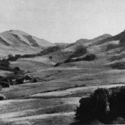 Tilden Park