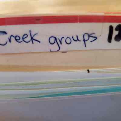 Friends of Strawberry Creek records