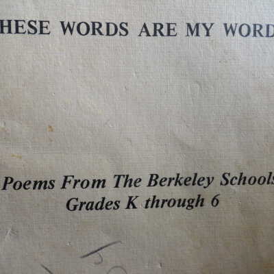These Words Are My Words
