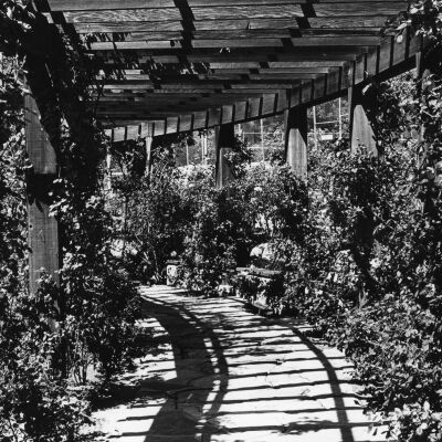 Berkeley Rose Garden