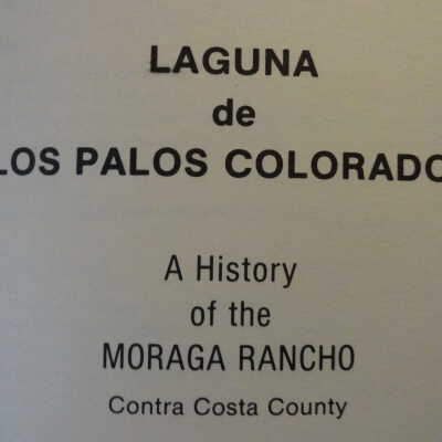 Laguna de Los Palos Colorados