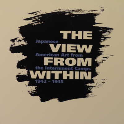 The View from within