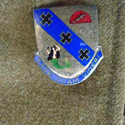 Army 309th Infantry Regiment Pin