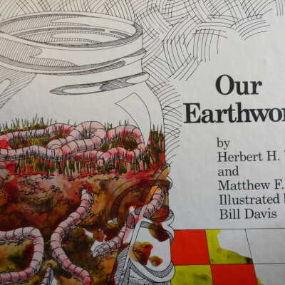 Our earthworms