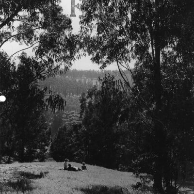 Tilden Park