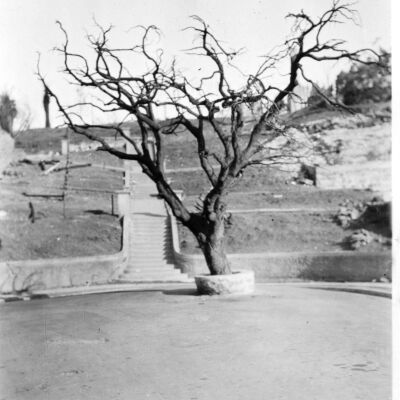 1923 fire