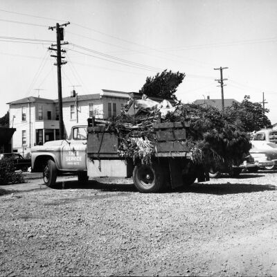 Expert Tree Service truck