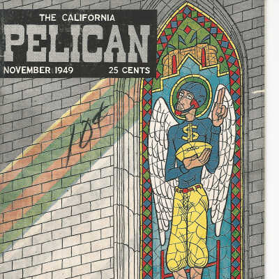California Pelican