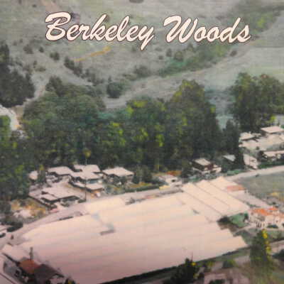 Berkeley woods