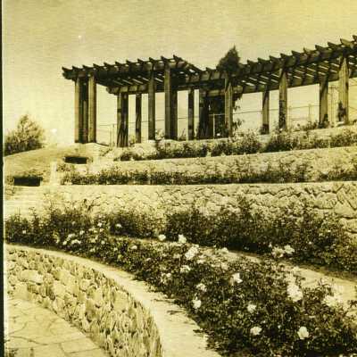 Rose Garden