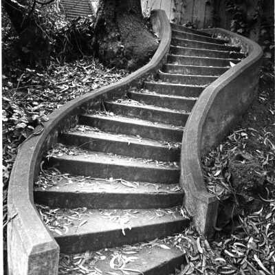 Codornices Park