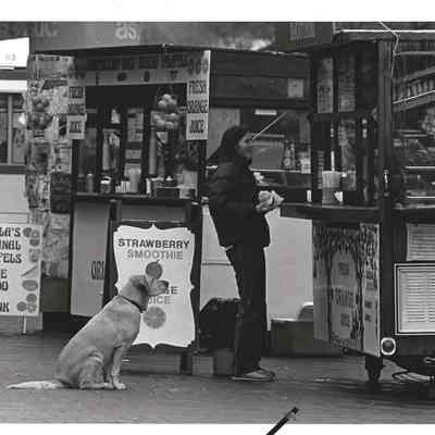 Vending kiosks at Bancroft and Telegraph