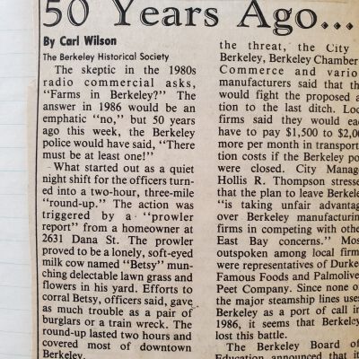 50 years ago today, newspaper column written for the Berkeley Voice, 1985-2001, by Carl Wilson.