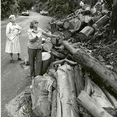 Neighborhood Clean-up