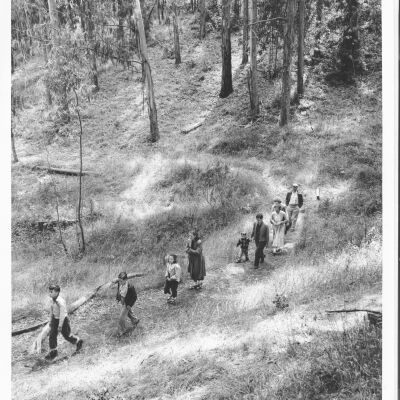 Tilden Park