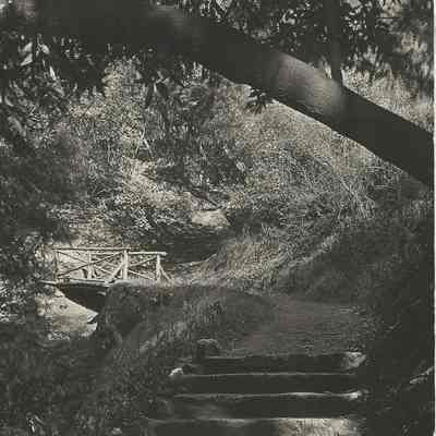 John Hinkel Park