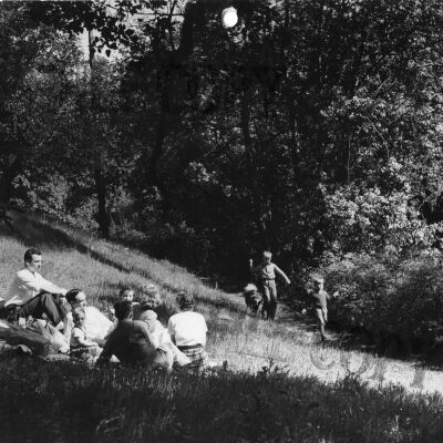 Tilden Park
