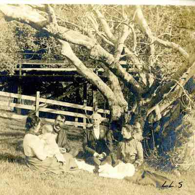 The Koch family gathers at Live Oak Park