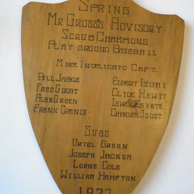 Plaque