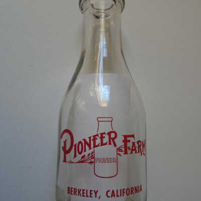 Milk Bottle