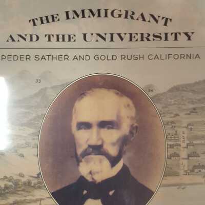 Immigrant and the university, the