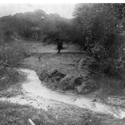 Strawberry Creek