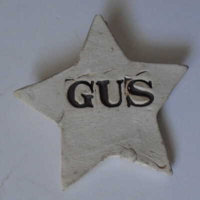 Campaign Button