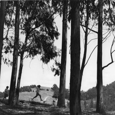 Tilden Park