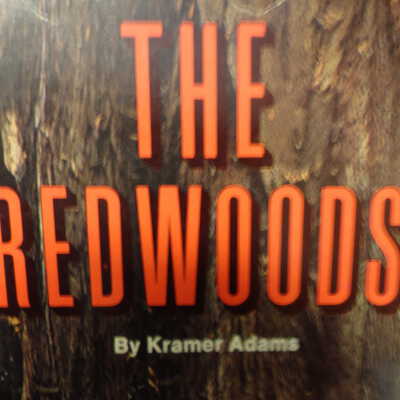 The Redwoods