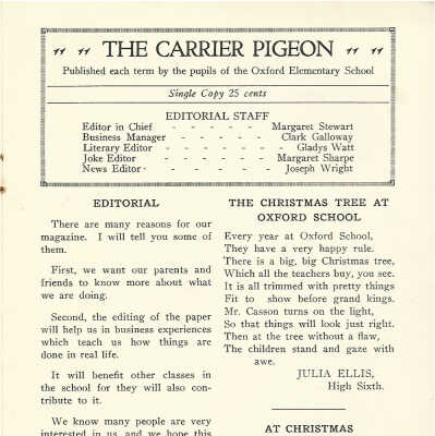 Carrier pigeon