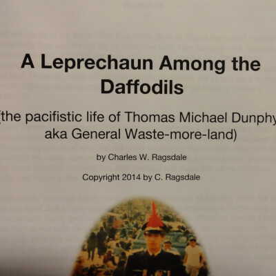 Leprechaun among the daffodils, a