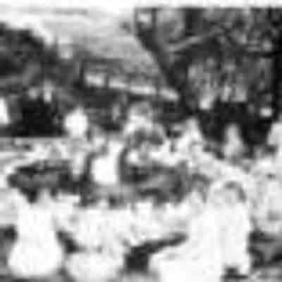 picnic