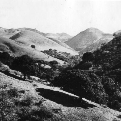 Tilden Park