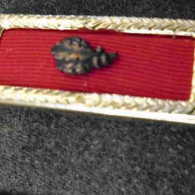 Army Meritorious Unit Pin