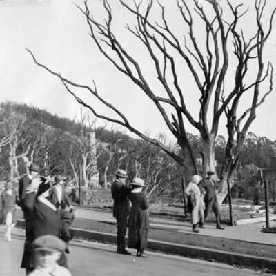 1923 Fire