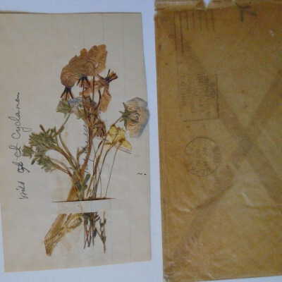 Notecard & Envelope